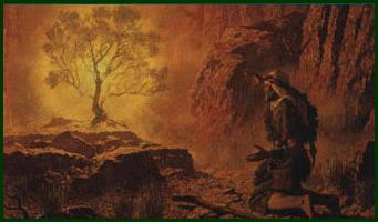 burning-bush.jpg
